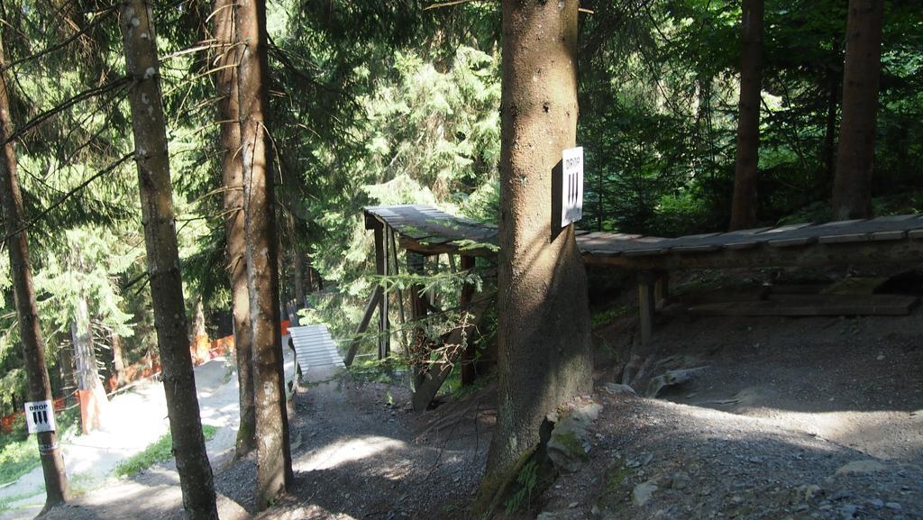 Alpin Lodge Leogang By Alpin Rentals 部屋 写真