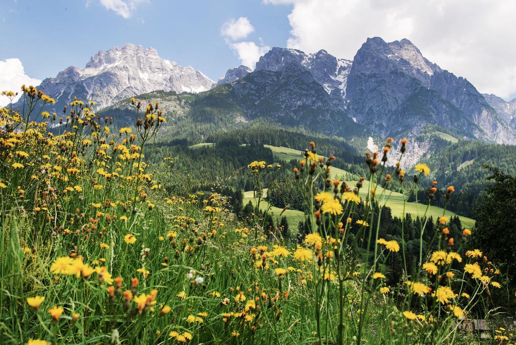 Alpin Lodge Leogang By Alpin Rentals エクステリア 写真
