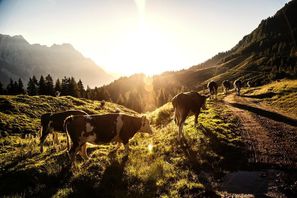 Alpin Lodge Leogang By Alpin Rentals エクステリア 写真